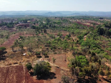 Farm & Agricultural Land