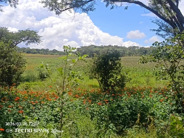 Farm & Agricultural Land