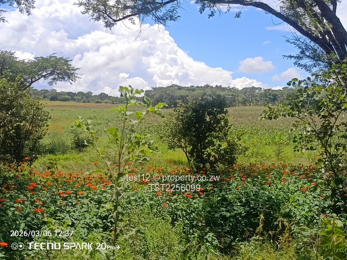 Chemagora Farm Sale