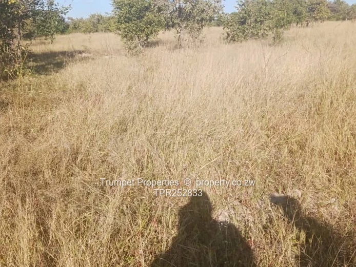 5ha Arable Grazing Farm in Goromonzi - Gravel Access (Sole Mandate)
