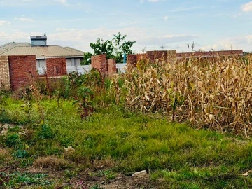 Stands & Residential Land