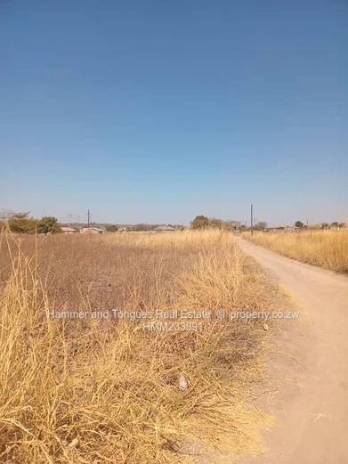 Whitecliff Stand For Sale  (Sole Mandate)