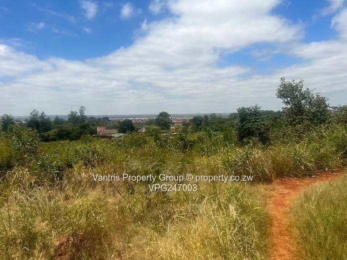 Prime 300sqm - 1710sqm  — Whitecliff Commercial Stands with payment terms 