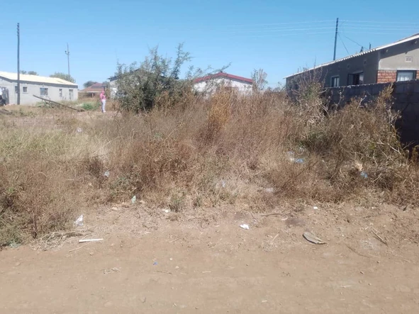 Stands & Residential Land