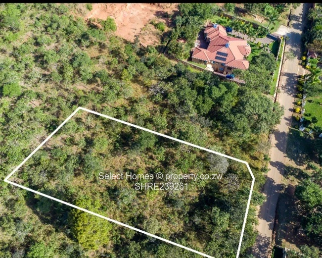 Gletwyn Stand for Sale