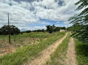 Farm & Agricultural Land