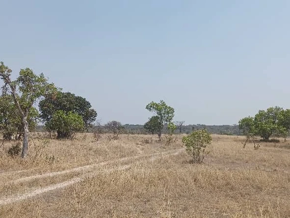 Farm & Agricultural Land