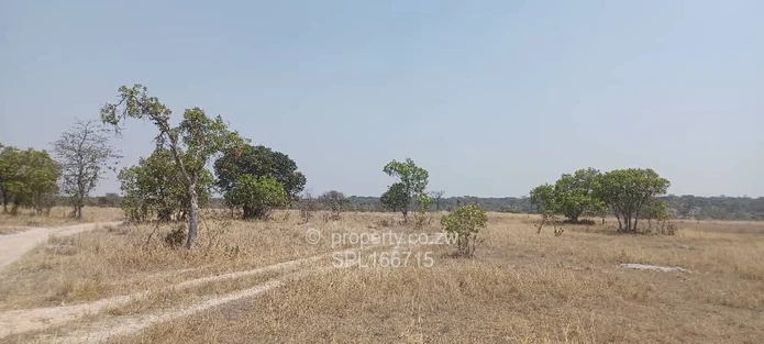 5.2 hectares Farmland. (Sole Mandate)