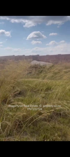 Commercial Stand for sale!!!