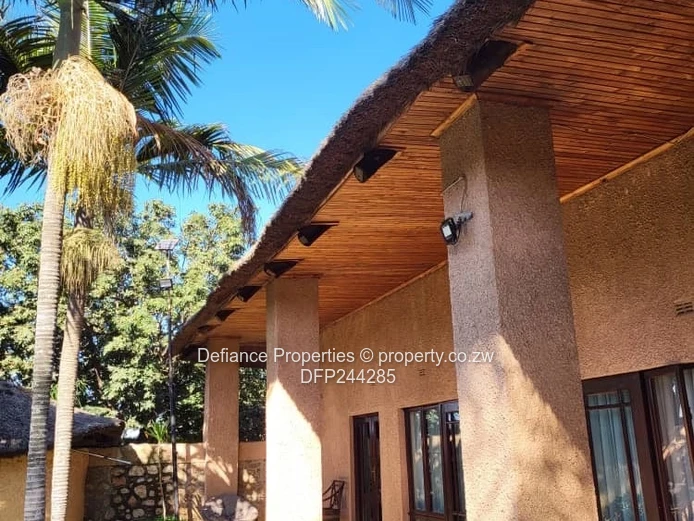 Investment opportunity 