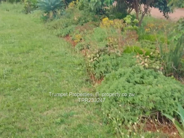 Stand For Sale In Norton Damafalls