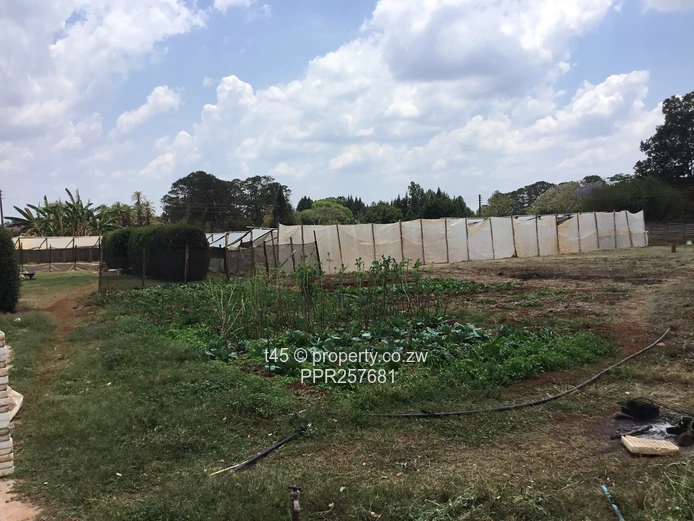 Built your dream home!