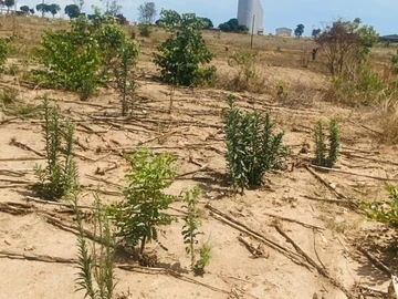 Commercial & Industrial Land