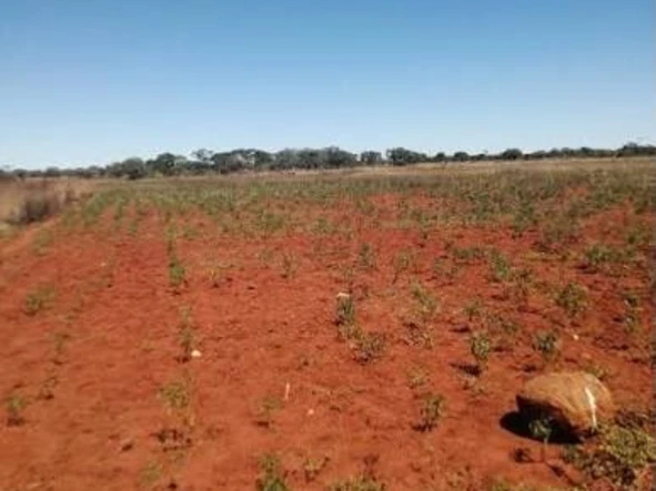 Farm & Agricultural Land