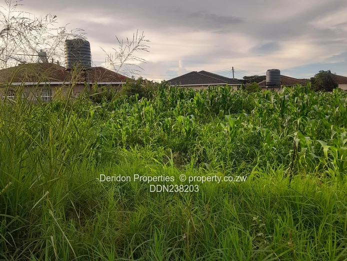 Build your dream home  (Sole Mandate)