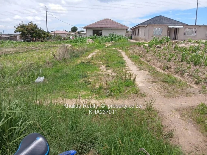 Marondera Rusike stand for sale