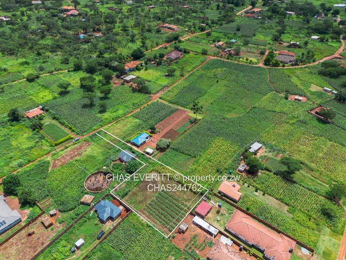 Charlotte brook Stand