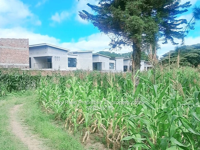 Greendale Stand For Sale 