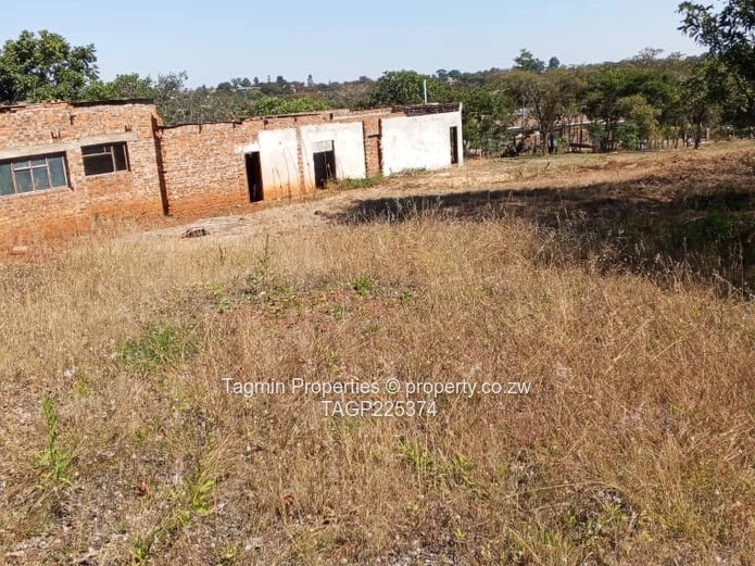 Shawasha hills stand
