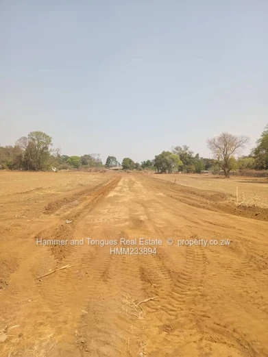 Marlborough New Cluster Stands For Sale 