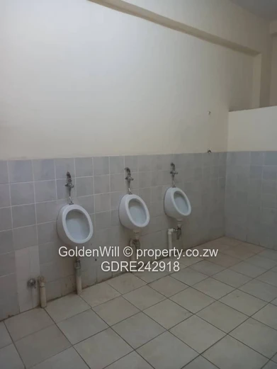 Commercial Property Along Samora Machel for Sale