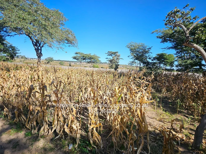Title deed...Secure 2,330 m² Residential Stand in Roodsflvie Marondera