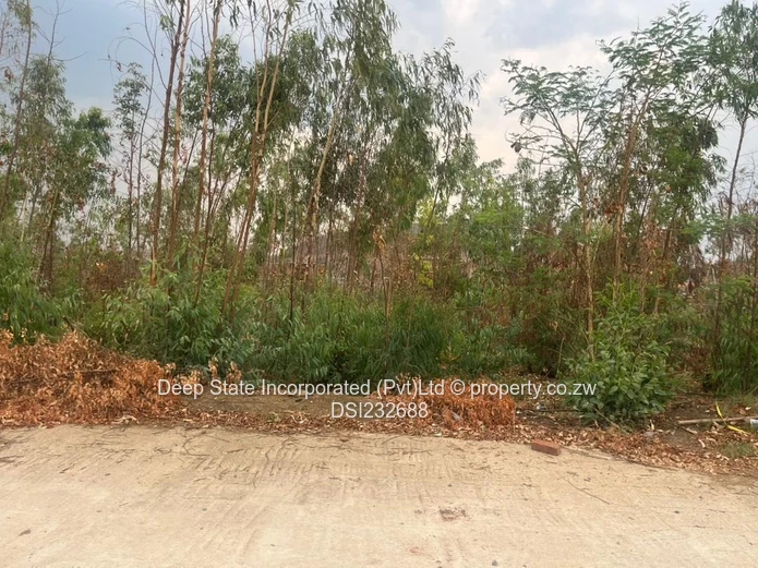 Cold comfort stand for sale (Gated community) 