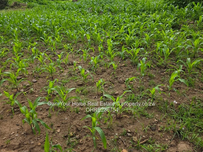 Mabelreign Meryick Park Residential Stand