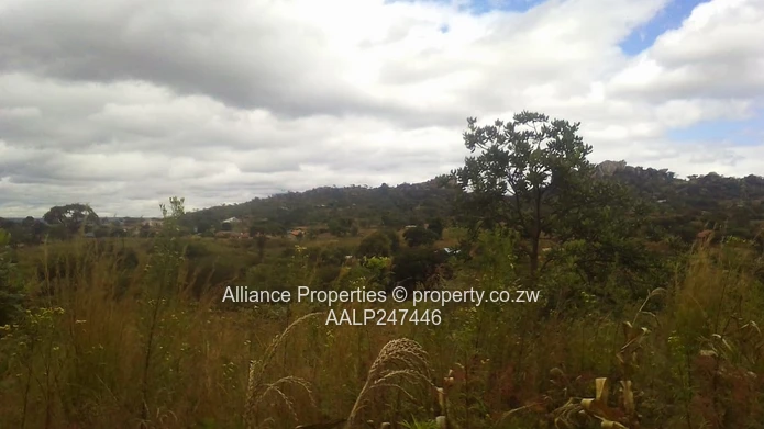 Borrowdale – Charlotte Brooke Vacant Stand For Sale