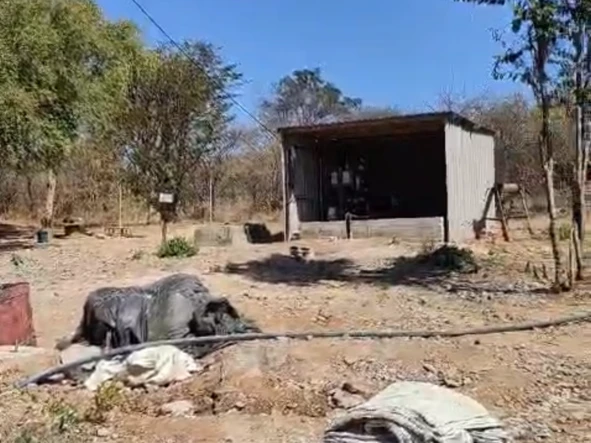 Land