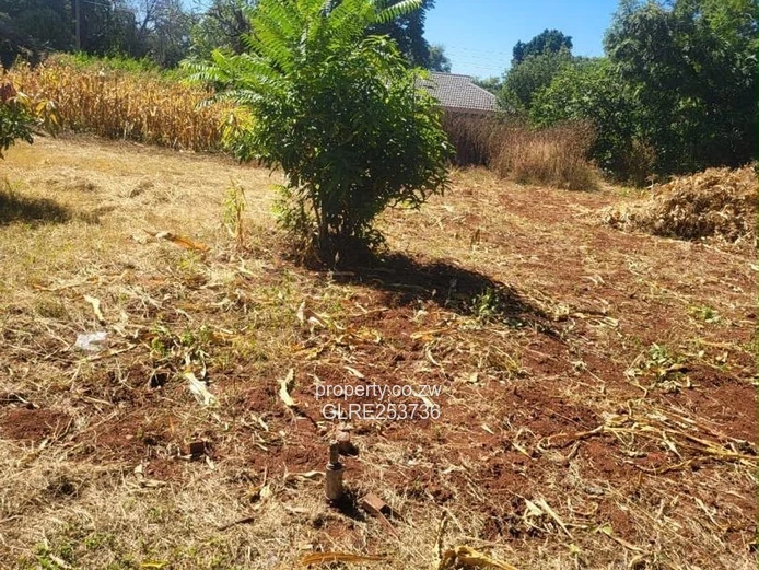 Cleared 1500 m² Stand in Quinnington — Subdividable