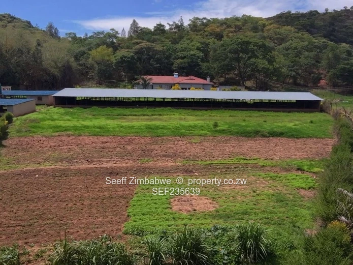 Prime Agro-Residential Property for Sale in Serene Location