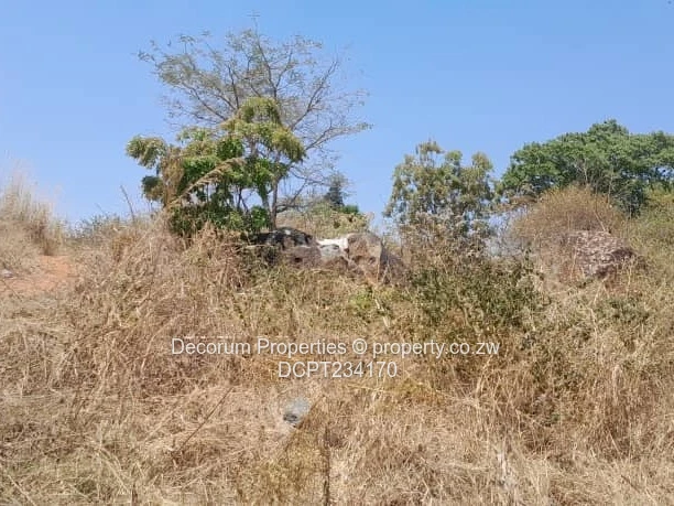 2600sqm Main-Road Stand — Tarred Road, Access Control