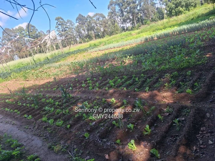 Agro - Residential Plots For Sale