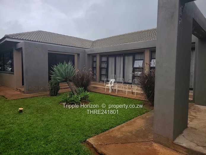 Borrowdale- Sam Levy (Sole Mandate)