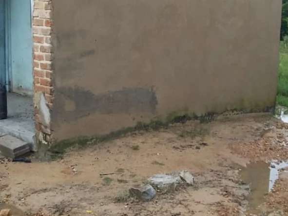 Farm & Agricultural Land