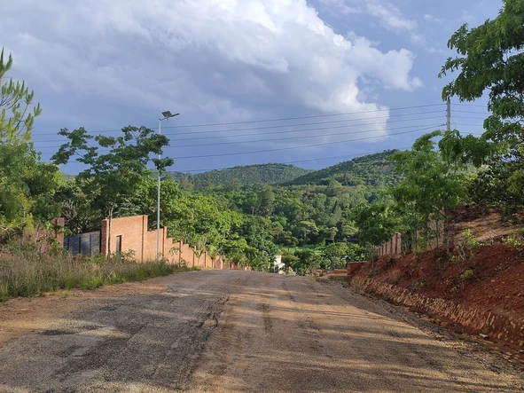 Stands & Residential Land