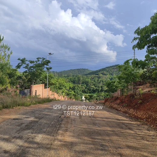 Borrowdale Carrick creagh estate stand for sale (Sole Mandate)