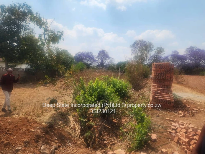 Malbereign stand for sale (Sole Mandate)