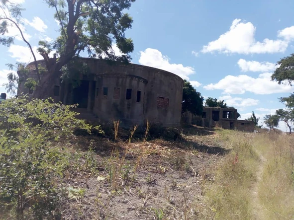 Farm & Agricultural Land