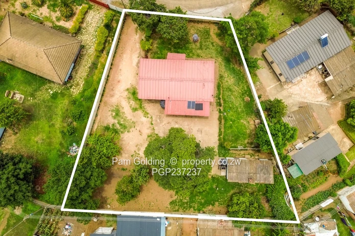 A True Gem! (Sole Mandate)