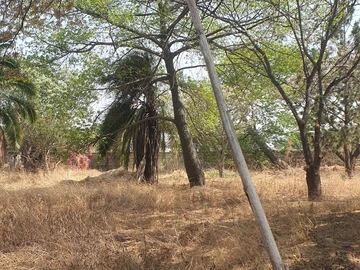 Commercial & Industrial Land