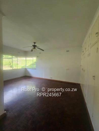 Alexandra Park Commercial/ Residential Property to Let