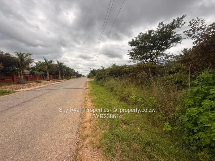 Arlington Stand For Sale