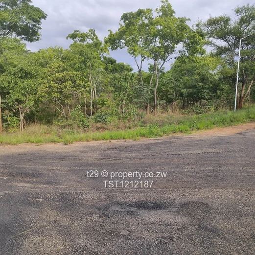 Borrowdale Carrick creagh estate stand for sale (Sole Mandate)