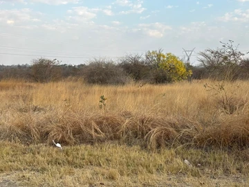 Commercial & Industrial Land