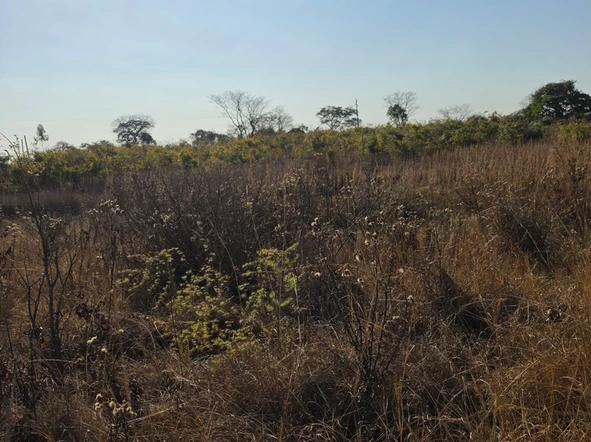 Farm & Agricultural Land