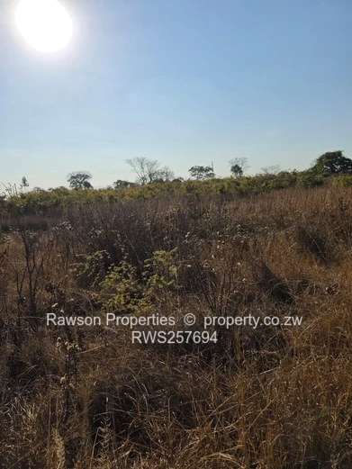 Investment Opportunity in Ruwa 