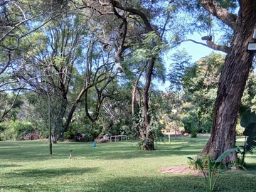 Land