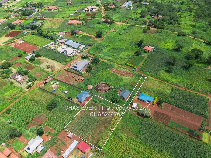 Charlotte brook Stand